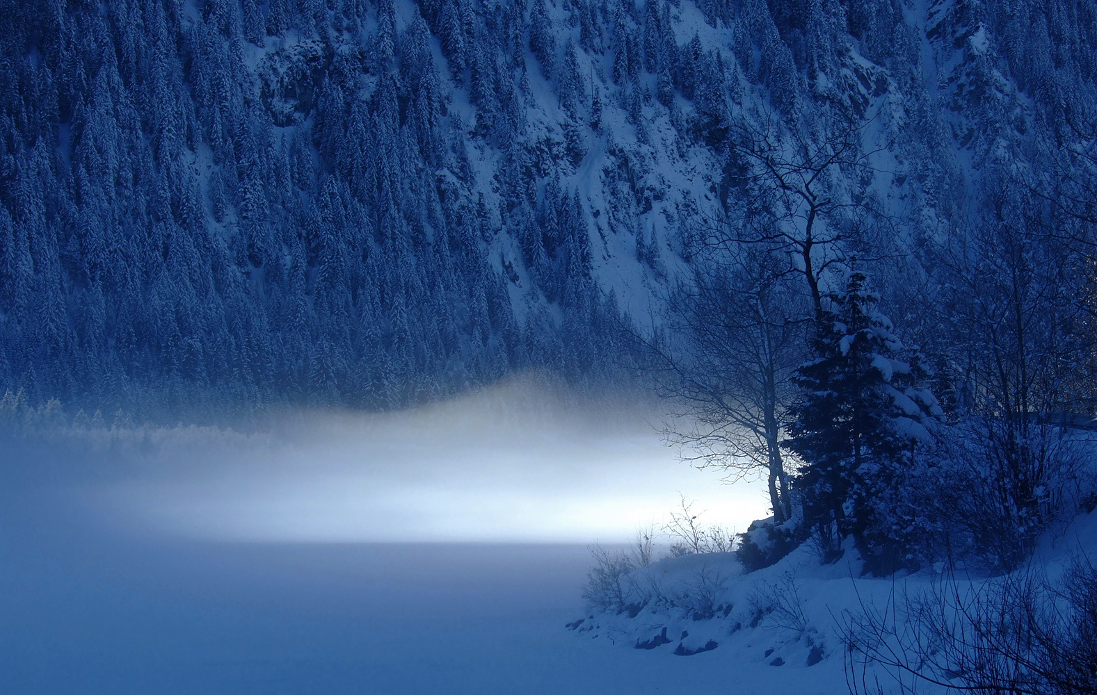 Blaues geheimnisvolles Winterleuchten