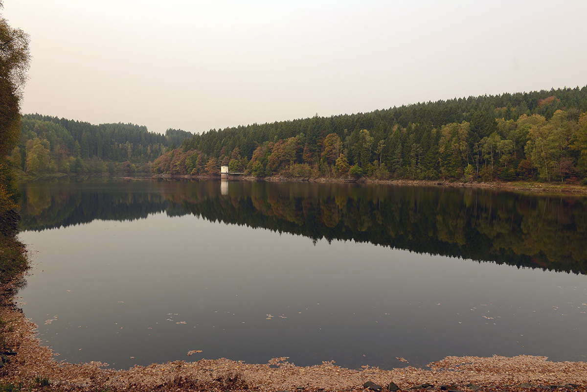 Talsperre in der Eifel