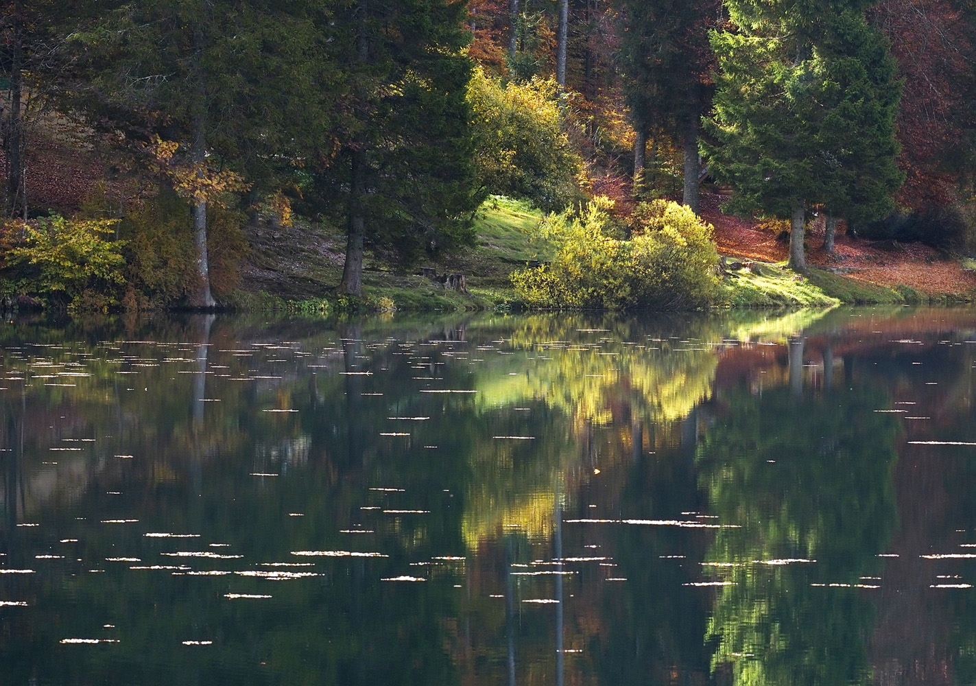 Im Herbst verweilen .....