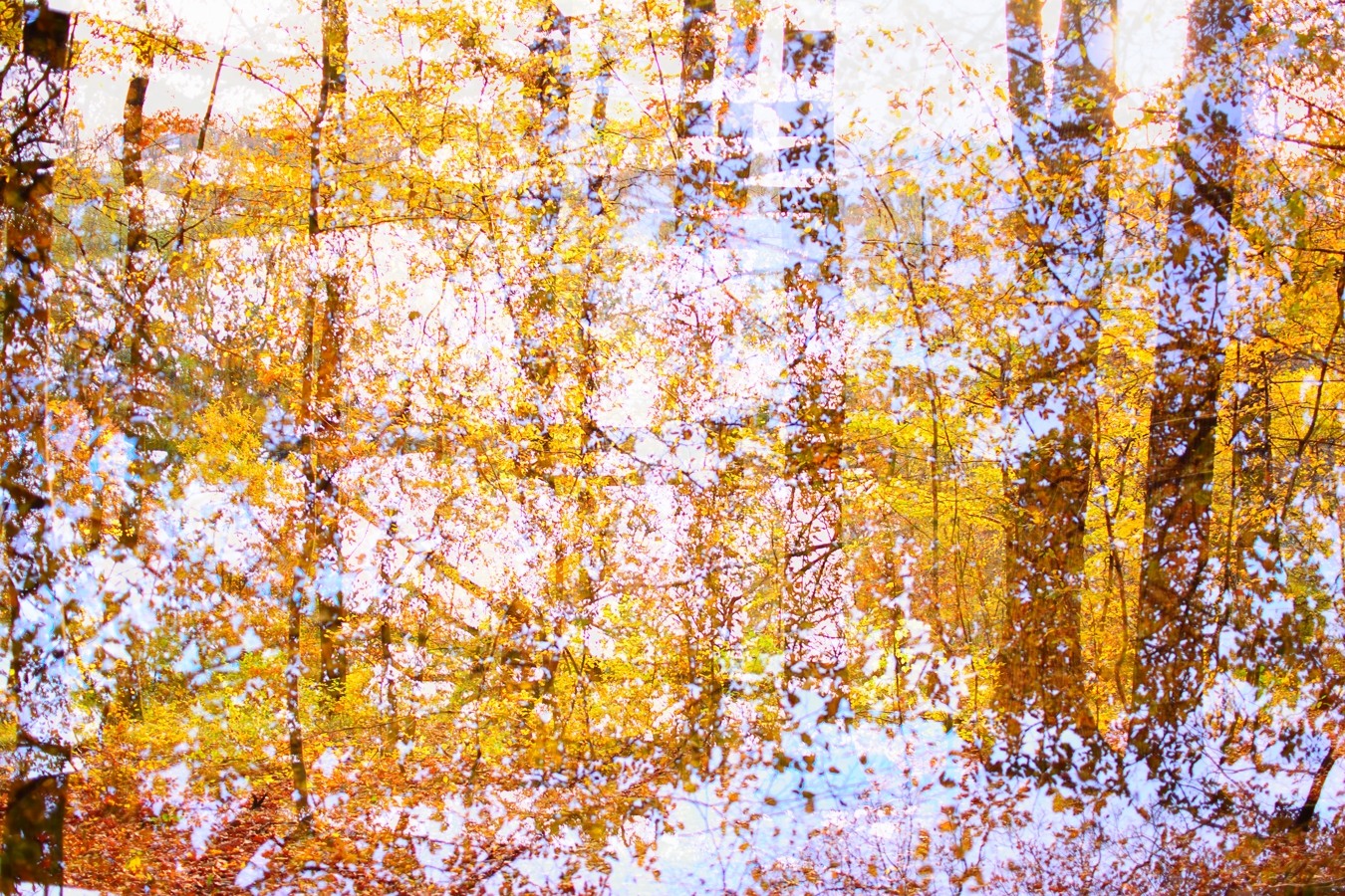 Herbstimpression