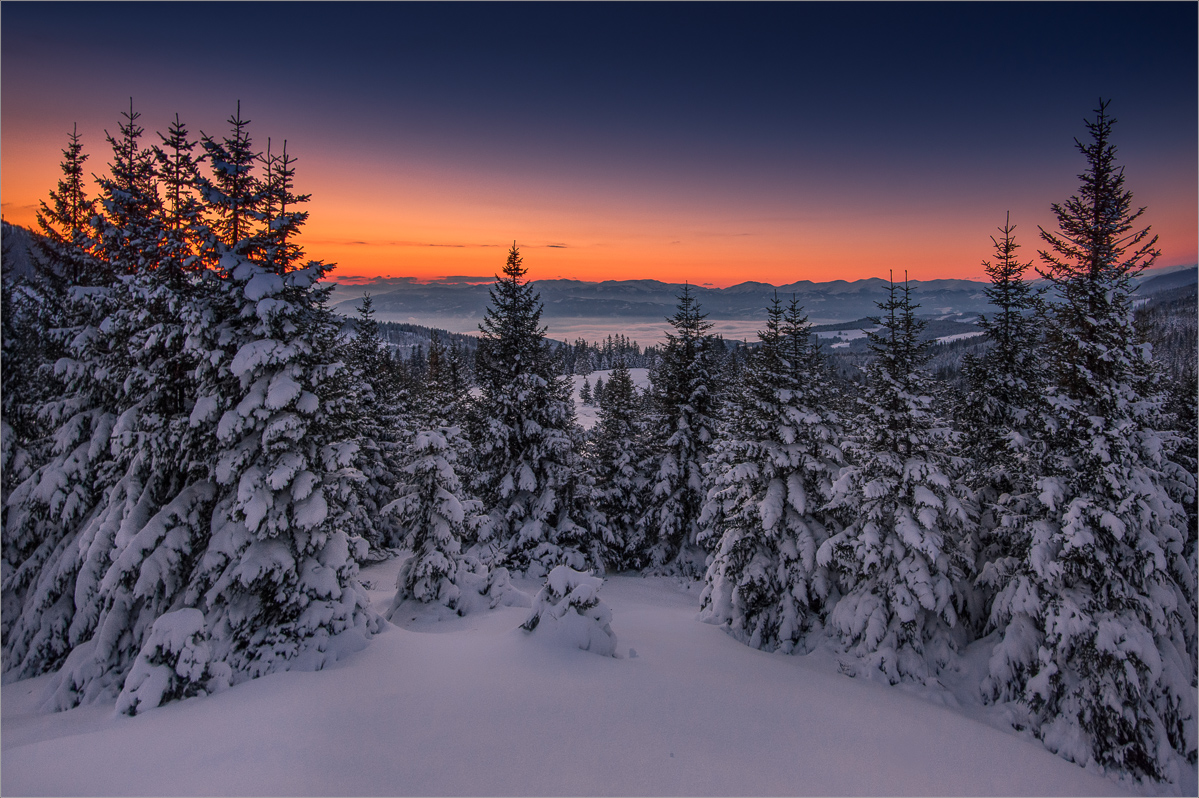 Winterlandschaft