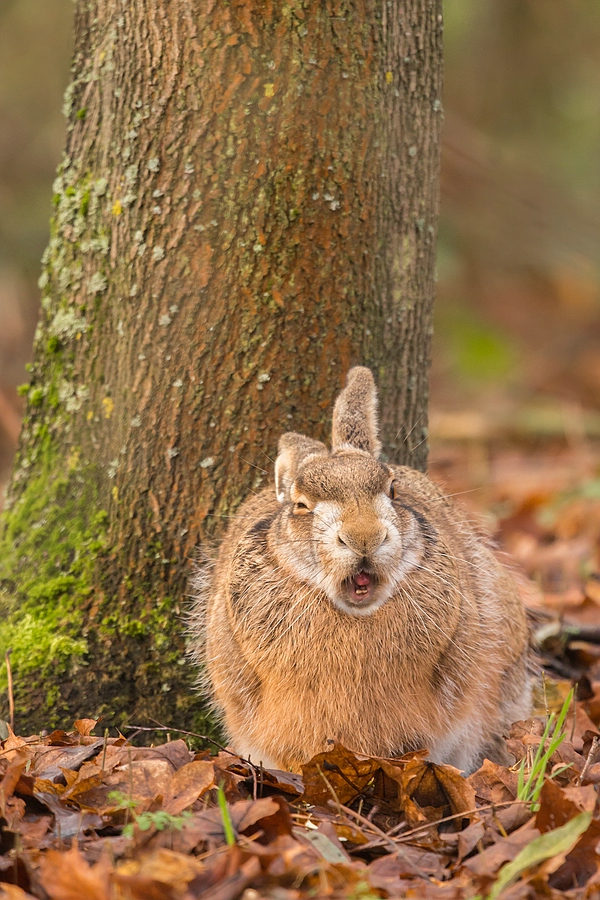 "...Spätherbst..."