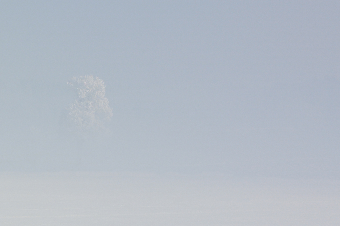 °°° Whiteout  °°°