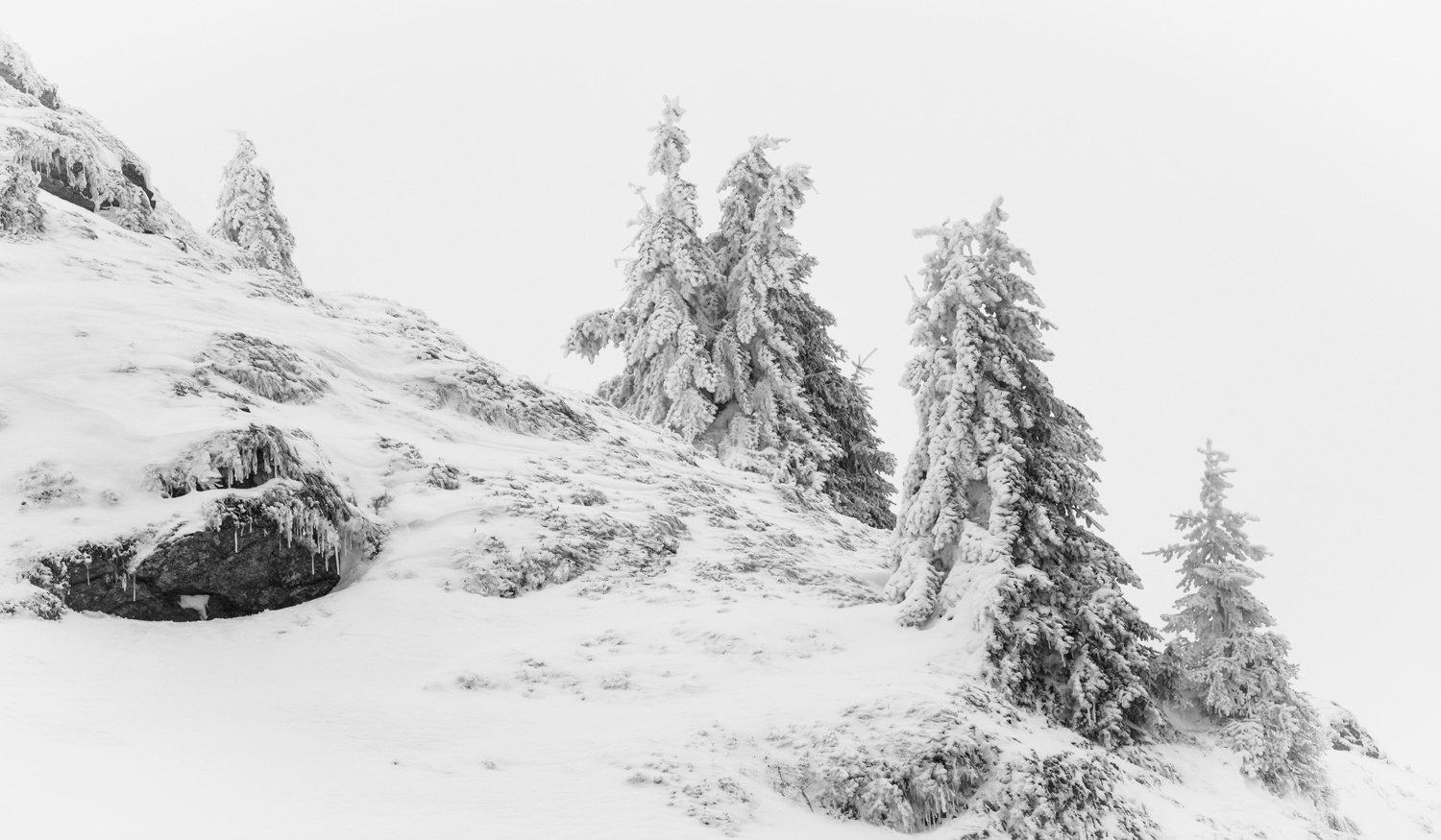 Väterchen Frost hat uns im Griff