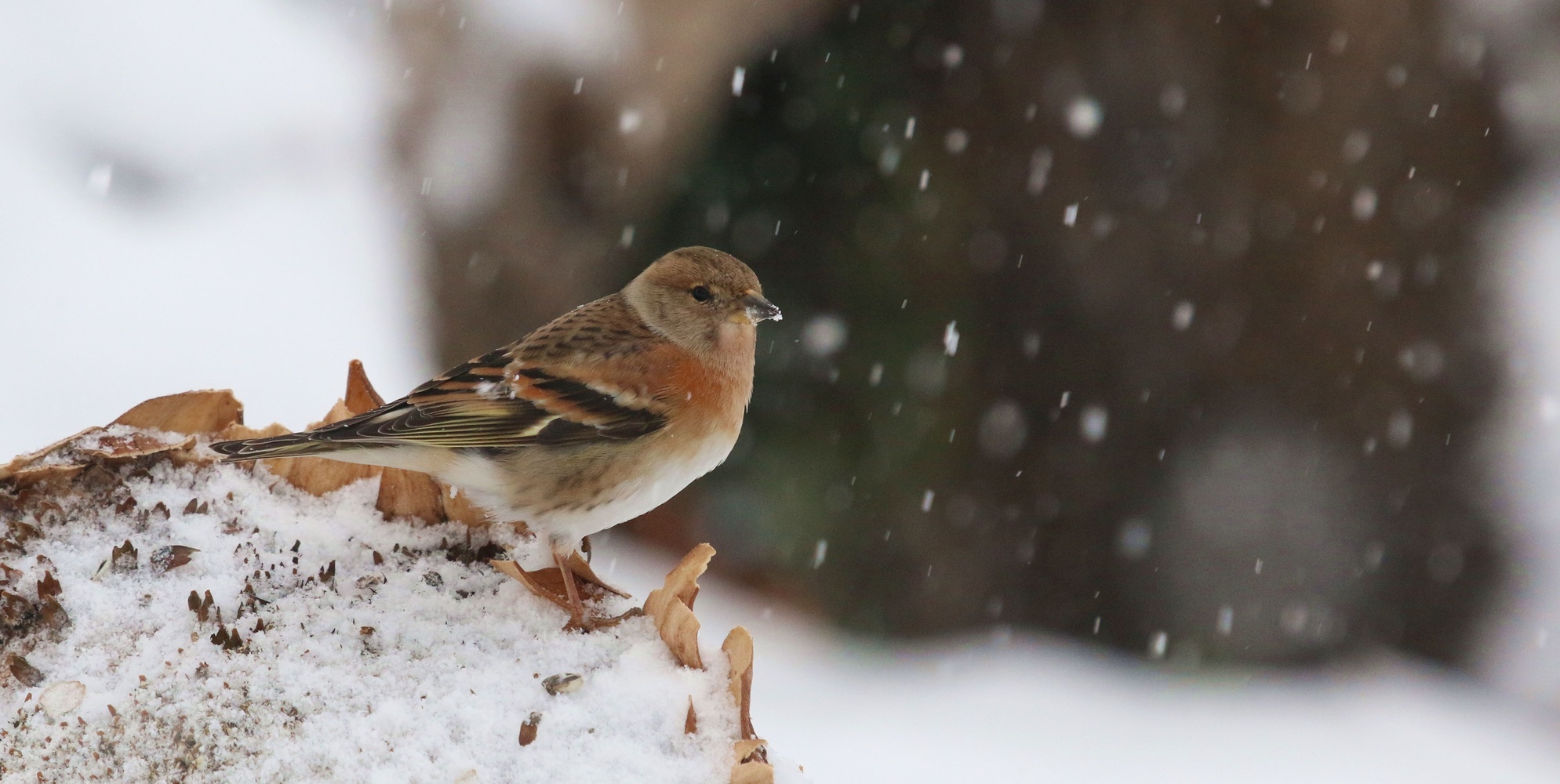 Winterzeit