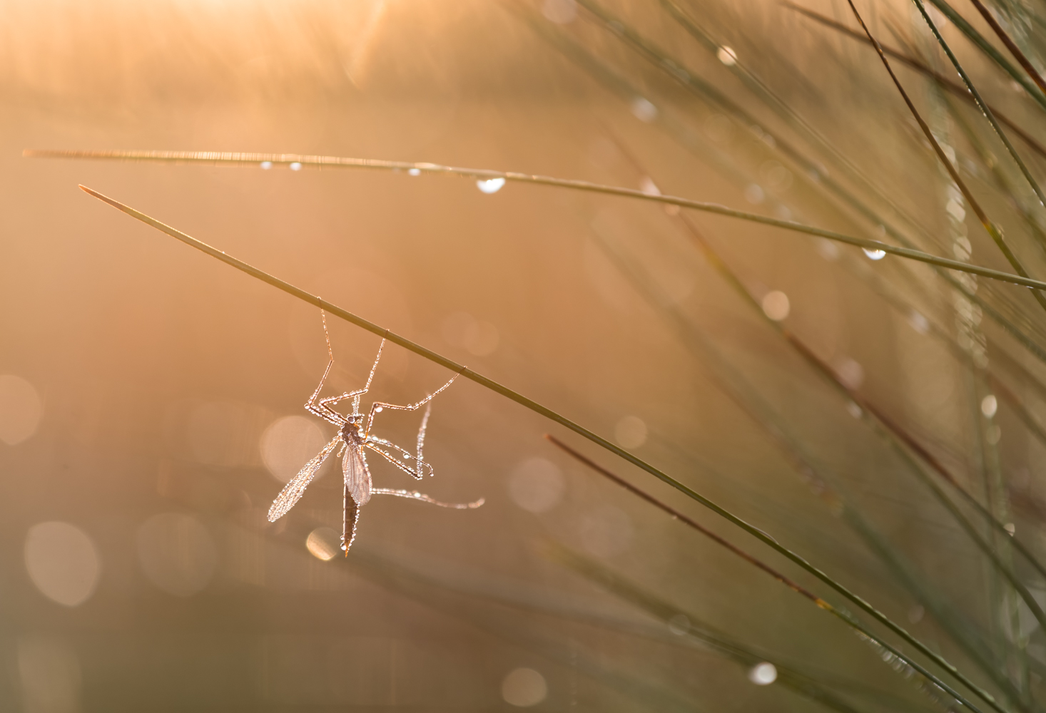__hanging around__