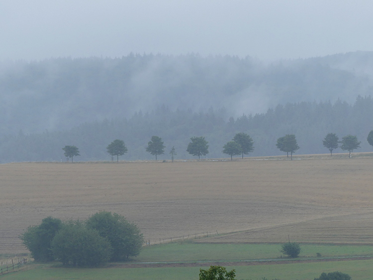 Taunus im Nebel