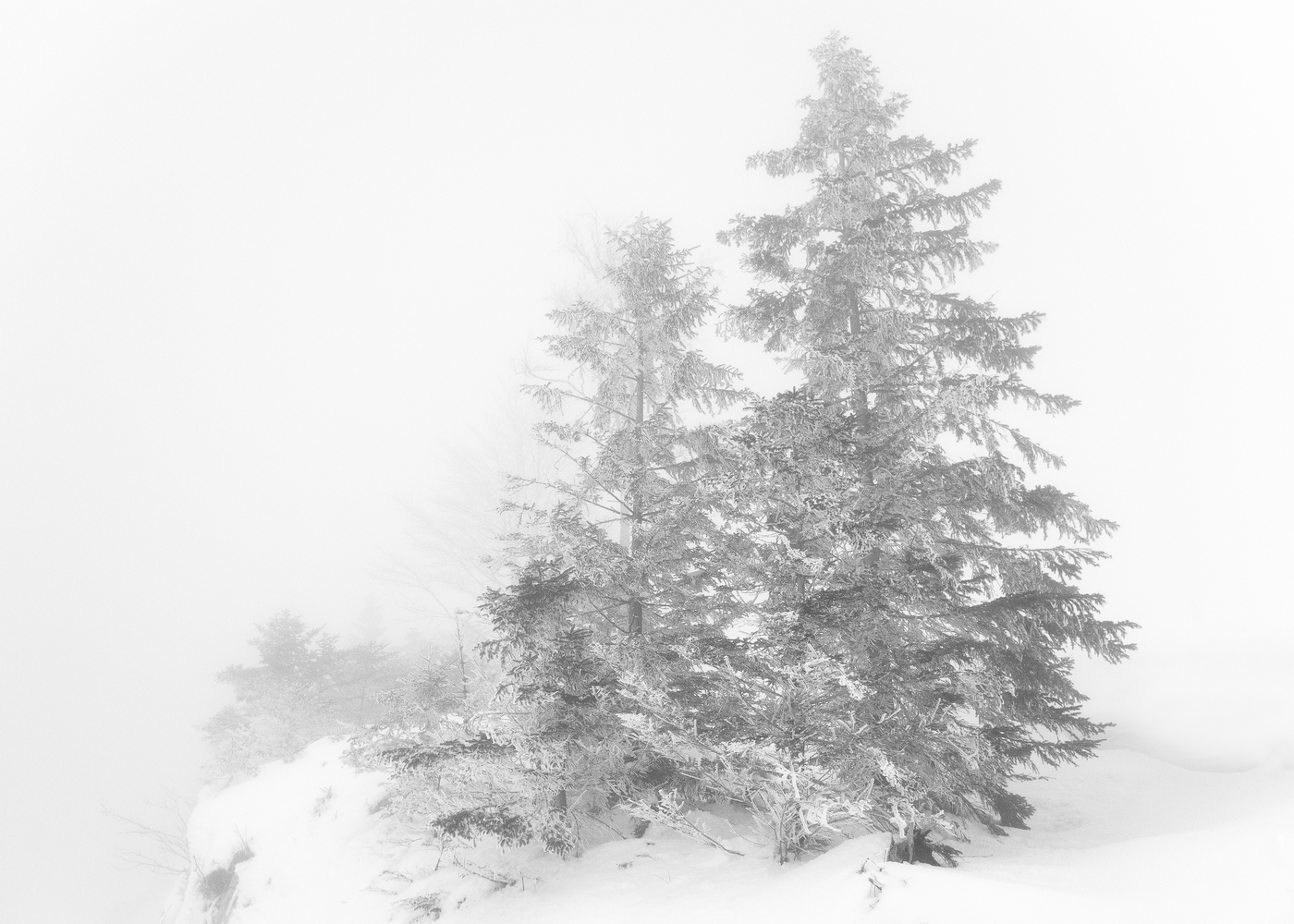 Im Schneetreiben