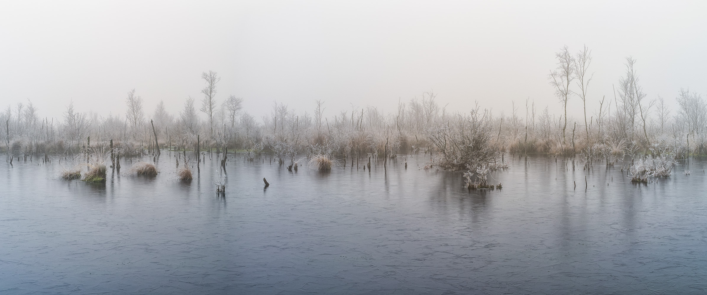 Frohe Weihnachten (Forum für Naturfotografen)