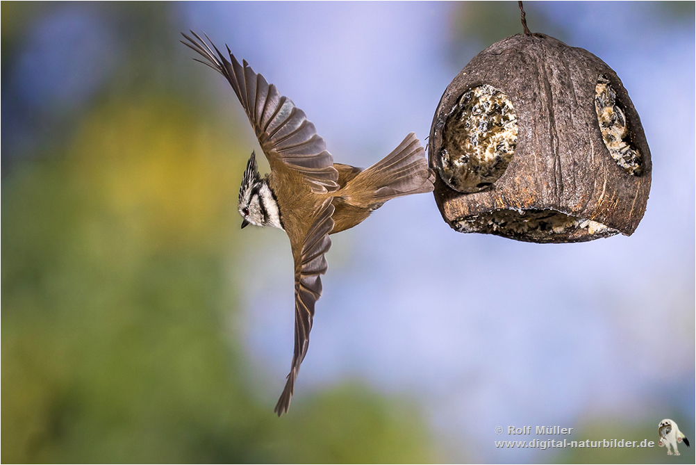 Eleganter Abflug