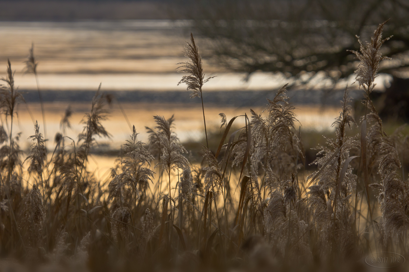 Goldene Stunde