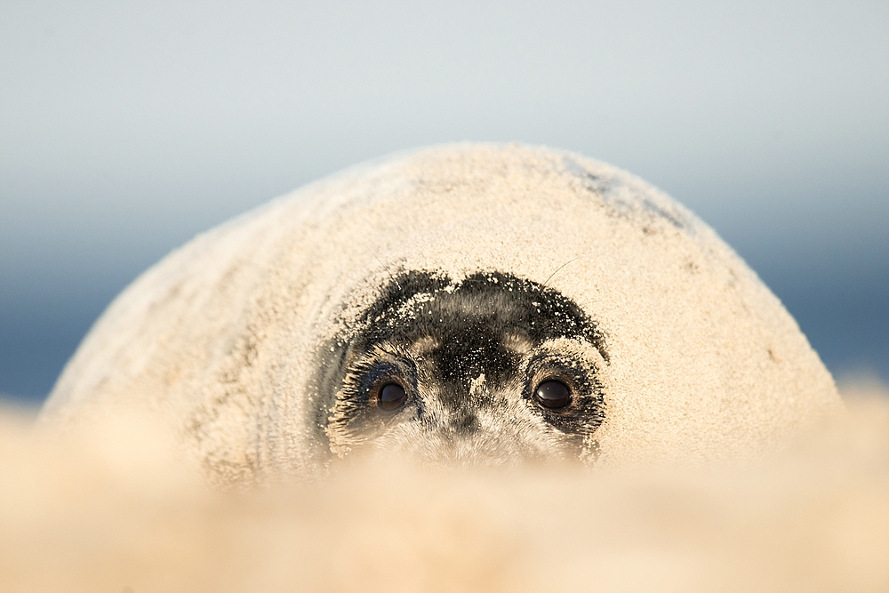 "...am Strand..."