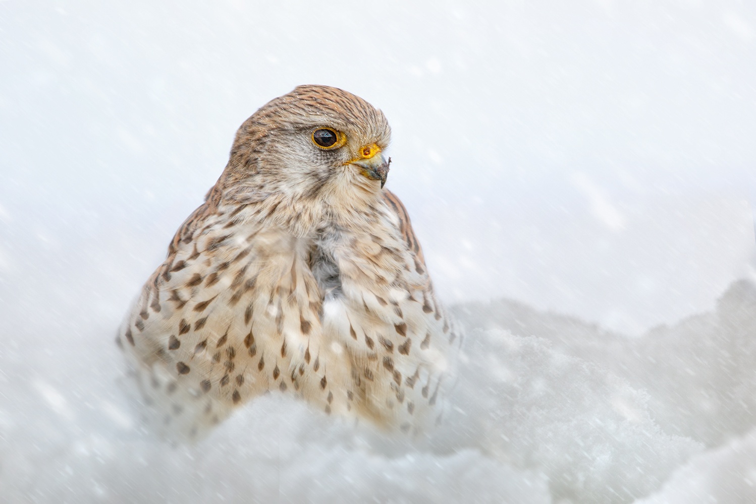 Im Schnee baden...
