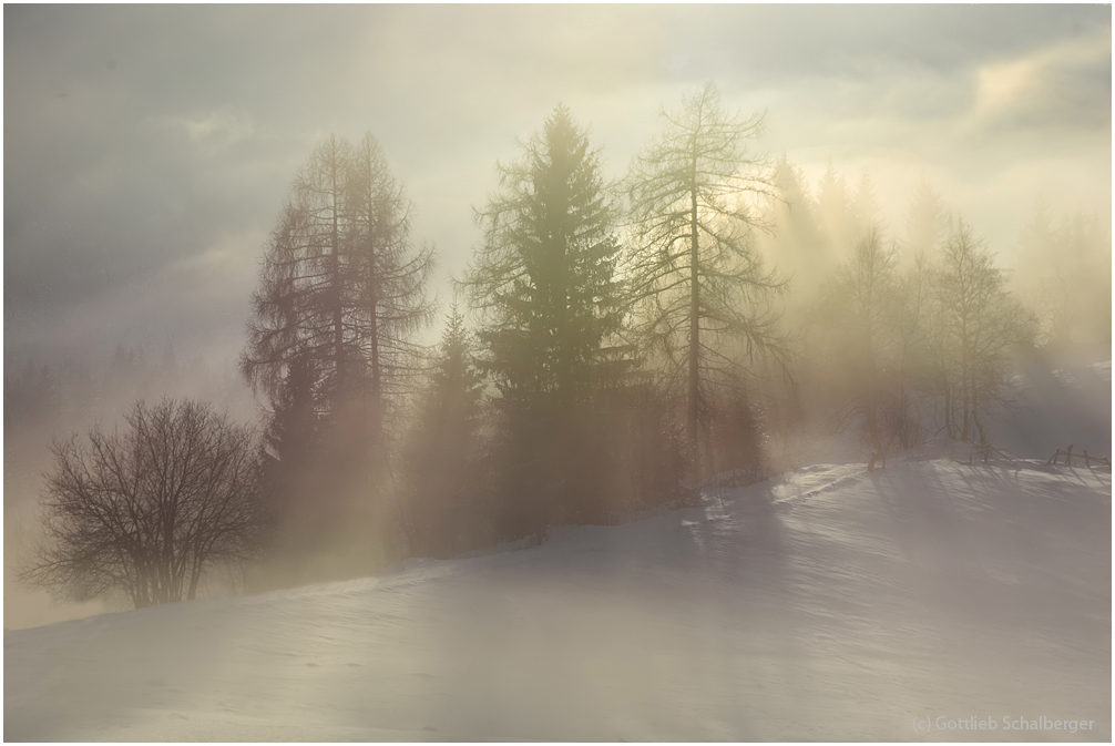 Ein nebliger Wintertag