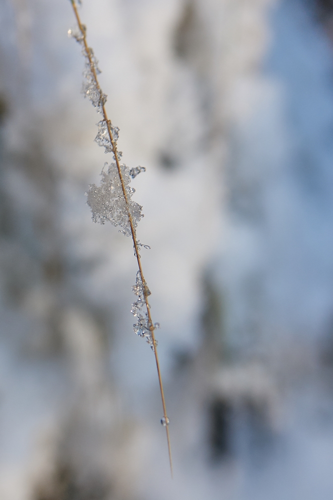 Schneekristalle...