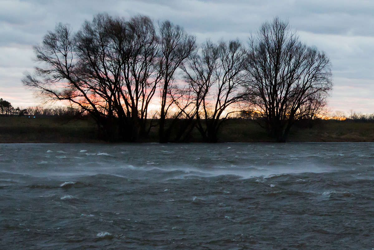 Frederike an der Elbe