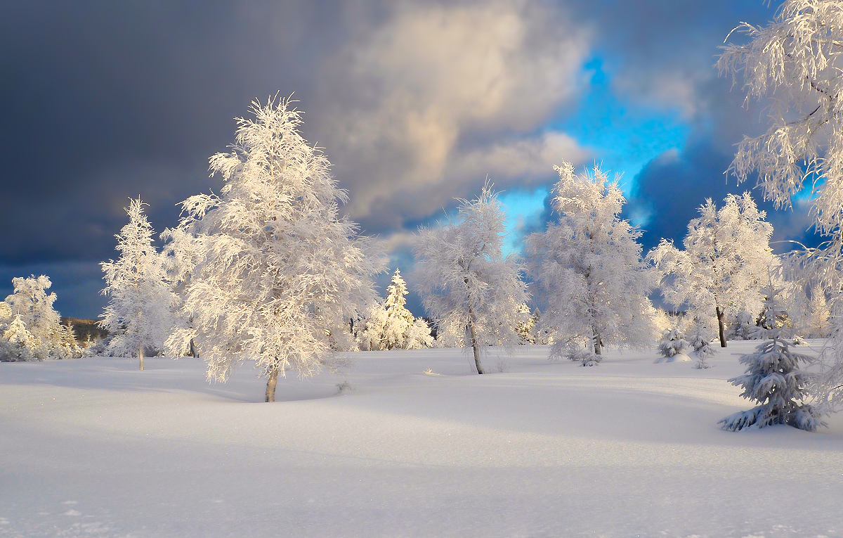 Abschied vom Winter ?