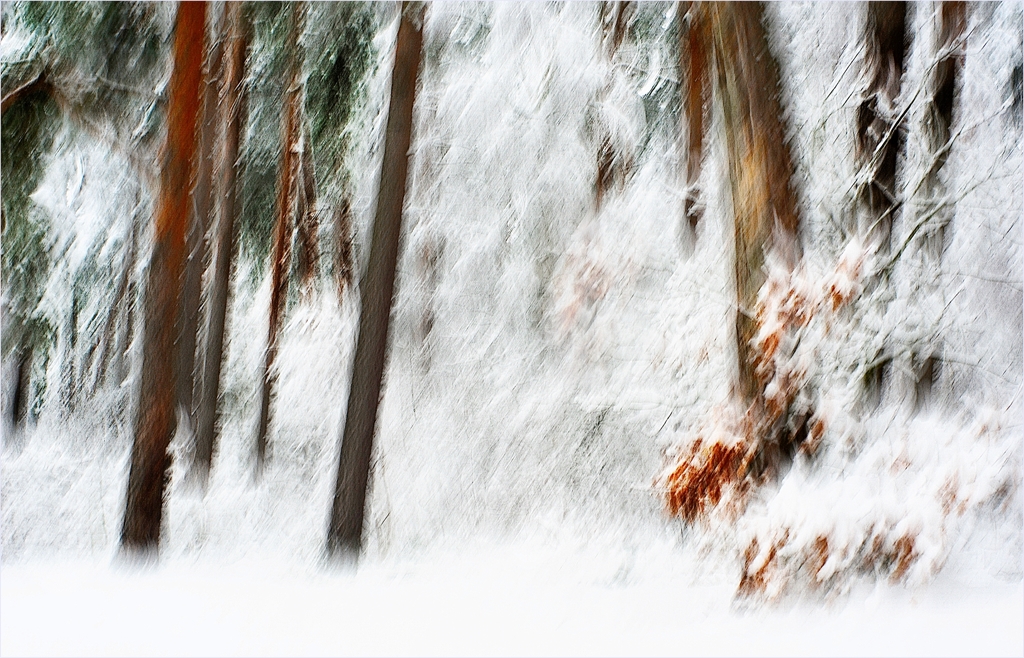 auch dieser Schneewischer
