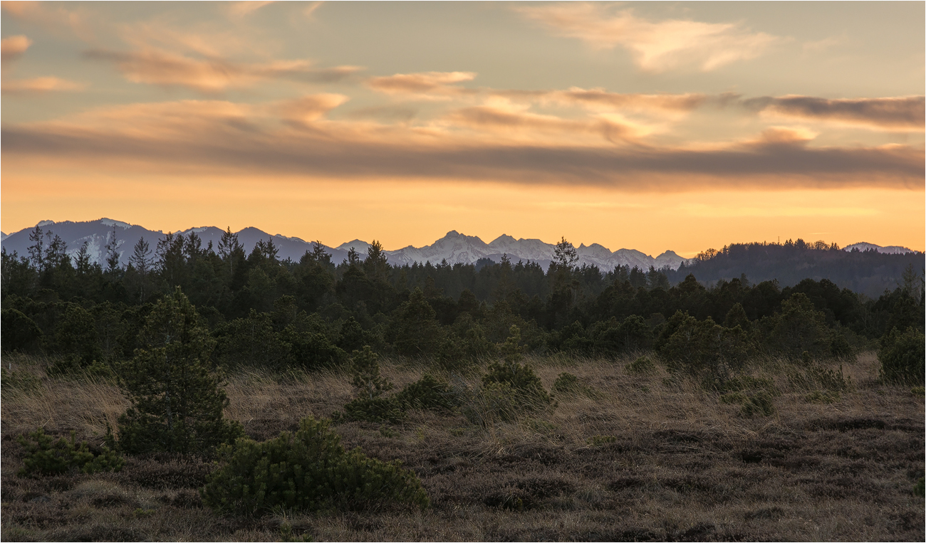 °°° Bergblick °°°