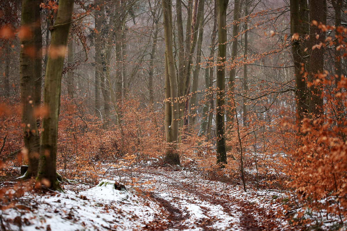 Ansatzweisen Winter...