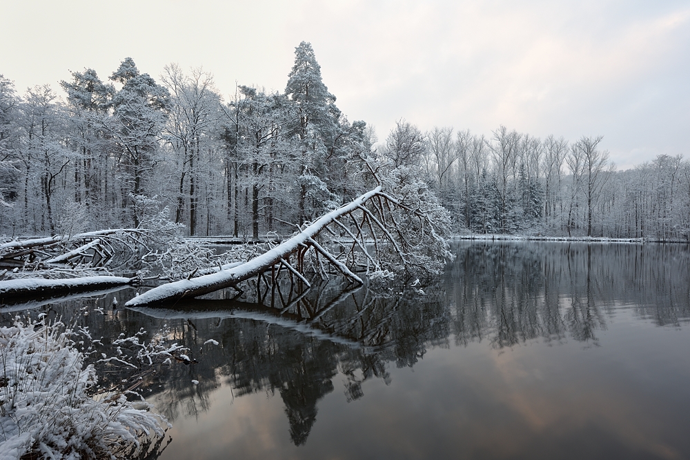 Bärensee