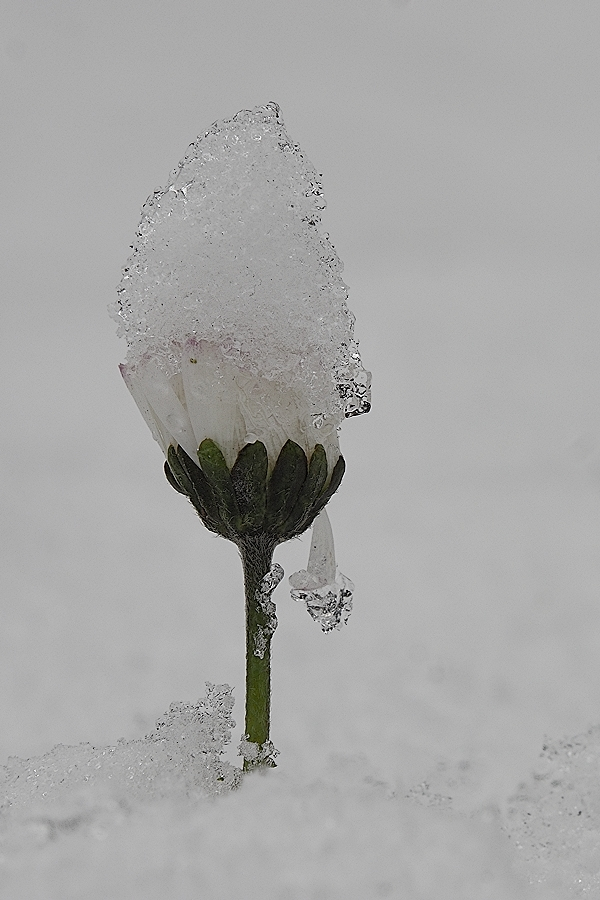 ganz schön viel Schnee...