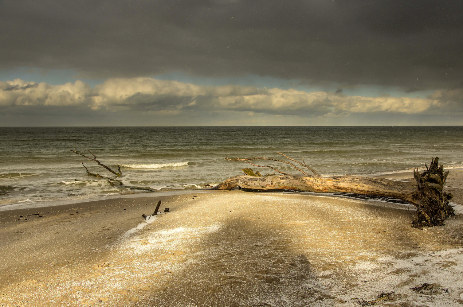 Winter am Meer