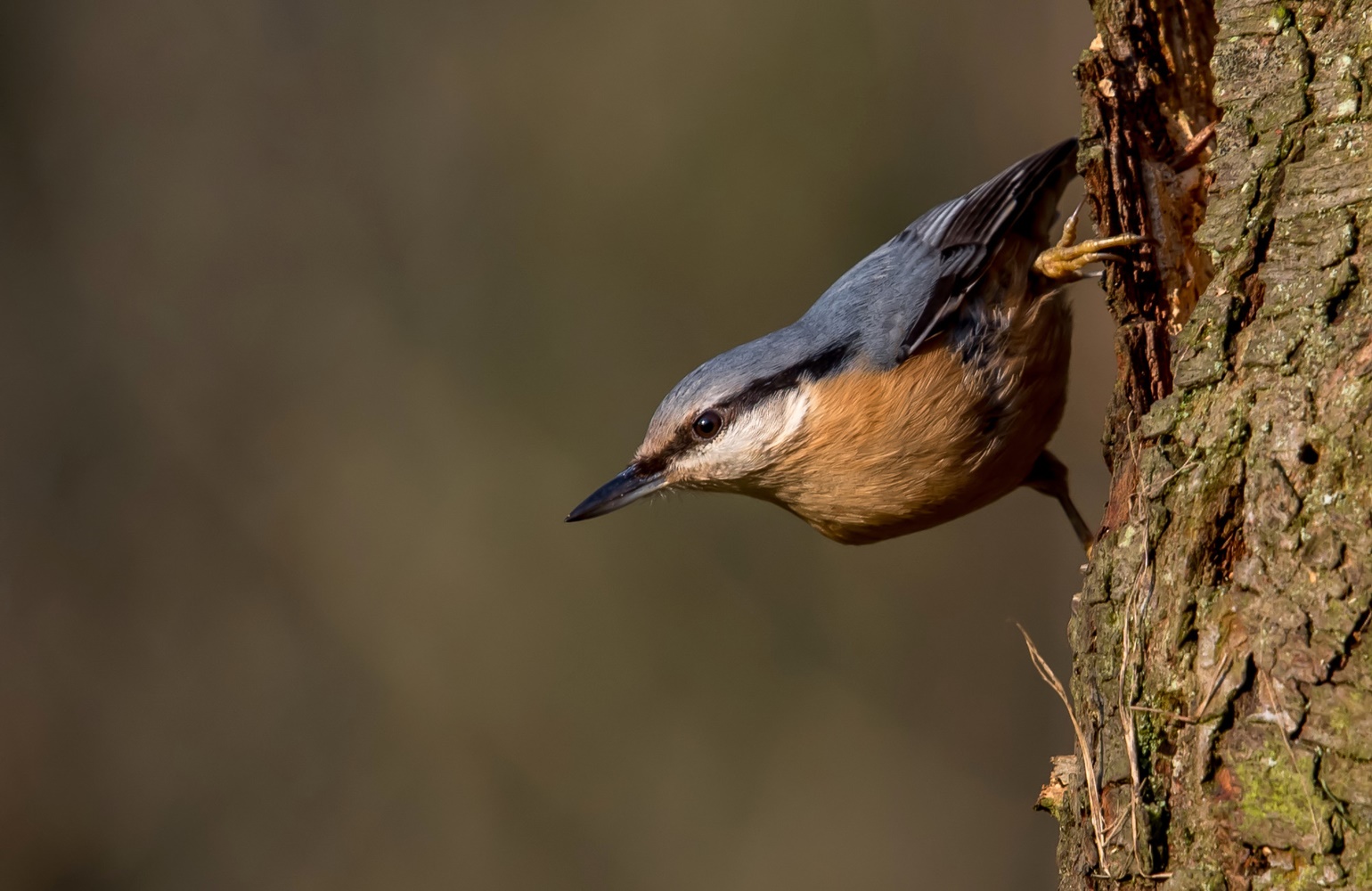 Pärchen Vom Nachbarn Aufgenommen Pärchen Vom Nachbarn Aufgenommen