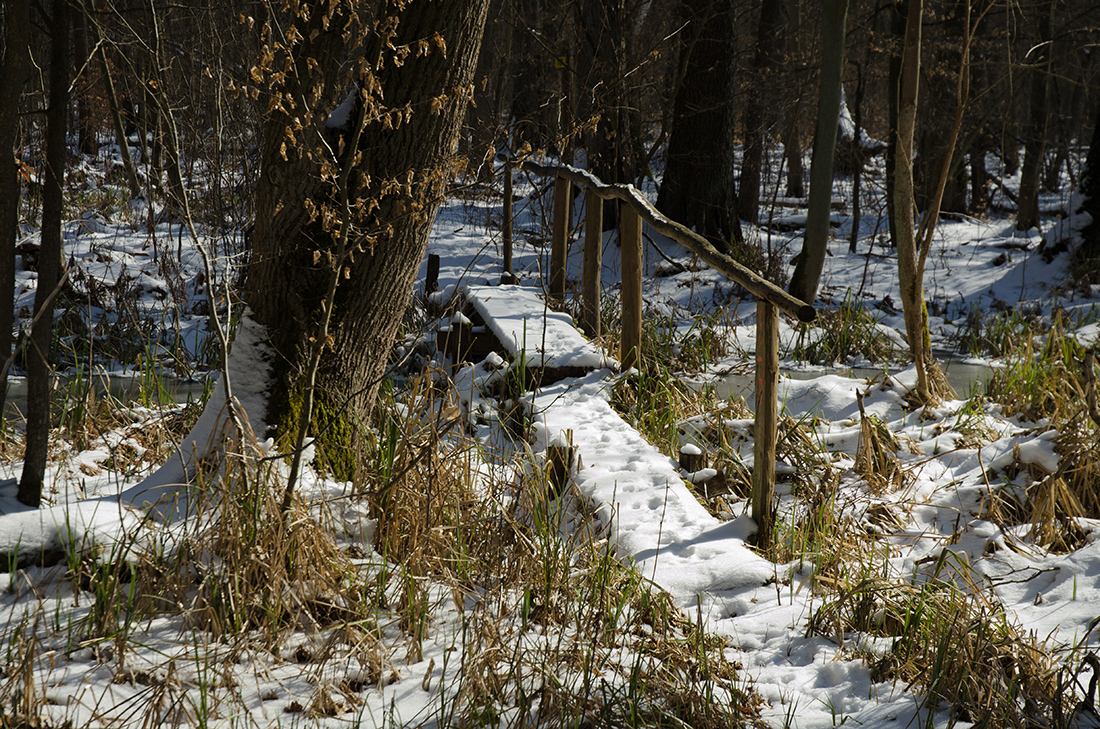 Brücke in die Wildnis