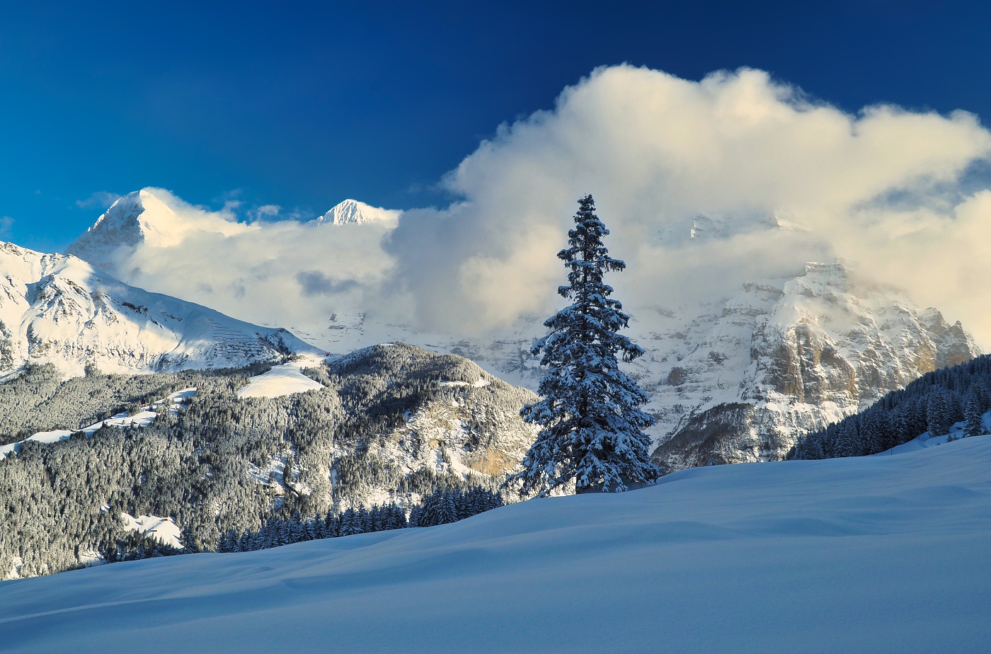 Berner Oberland