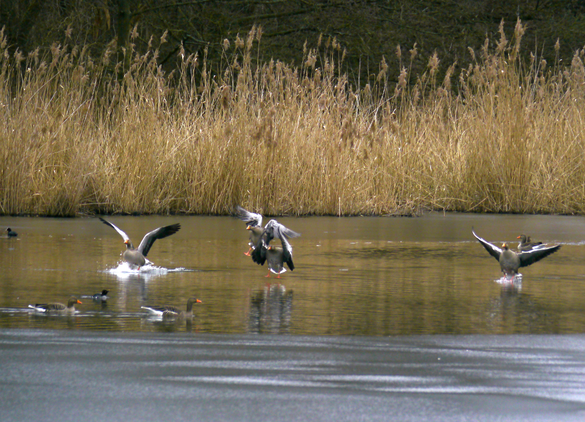 Landung an der Eiskante