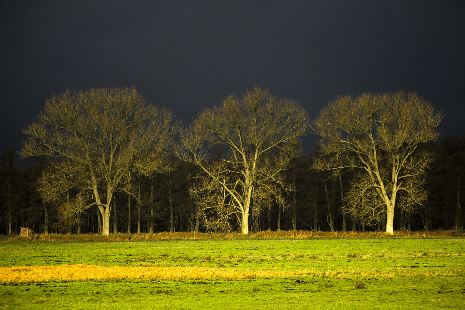 Im Licht