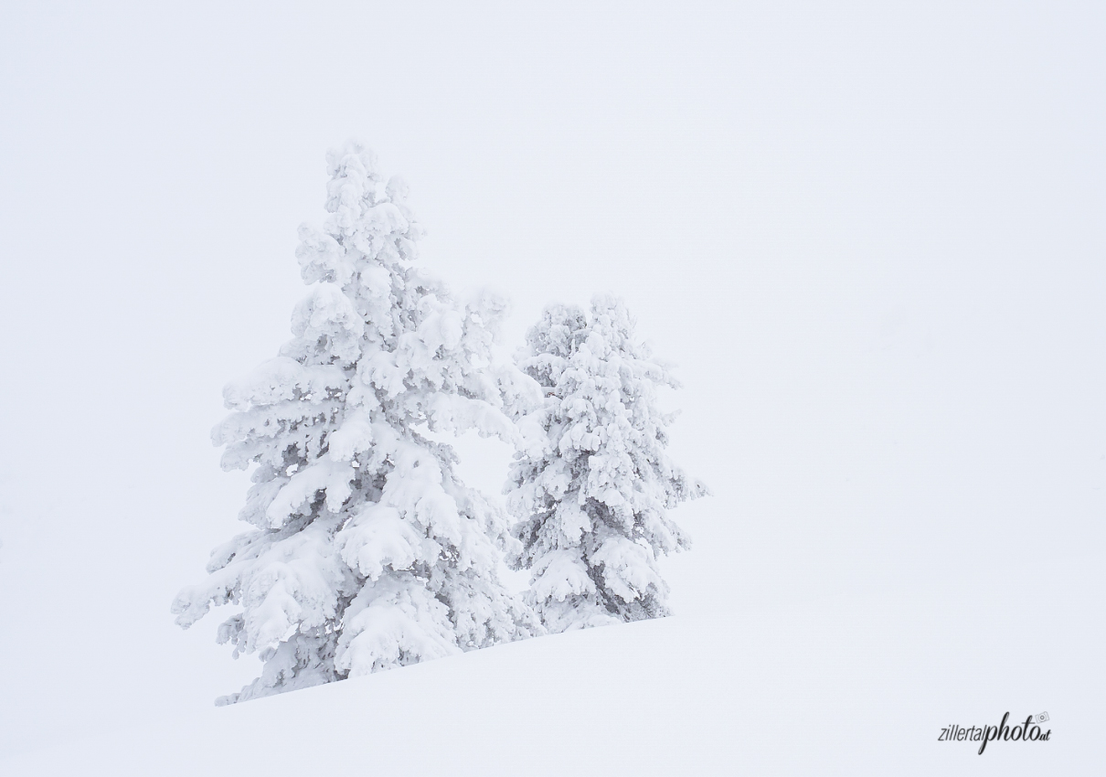 White Out