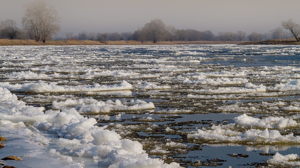 Eisgang auf der Elbe