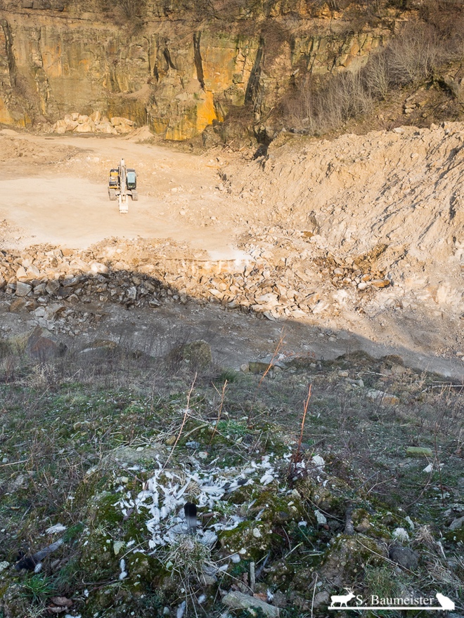 Optimalhabitat