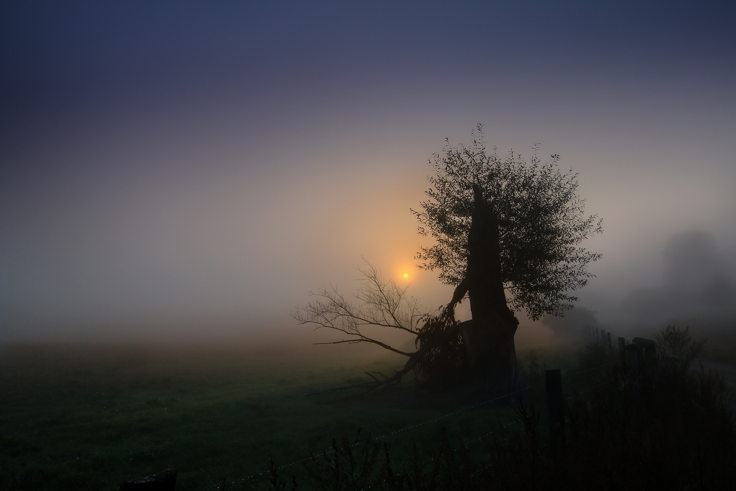 foggy morning