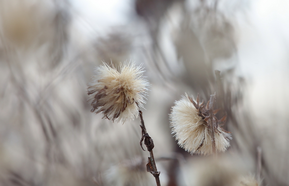 Winterfarben