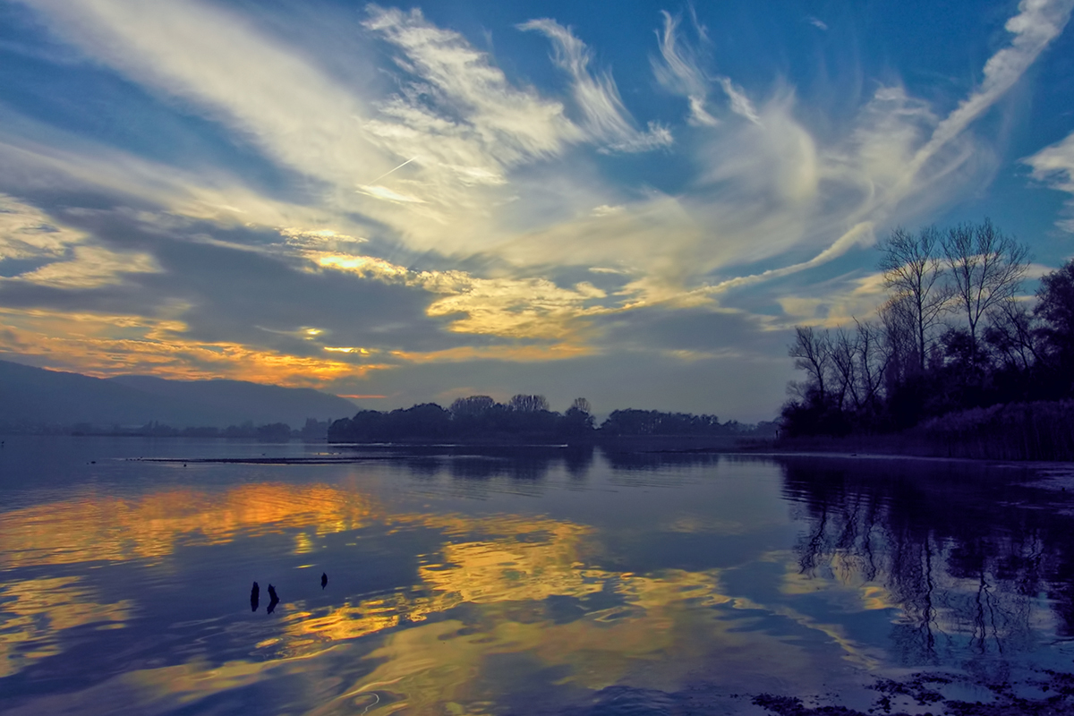 Blaue Stunde am Bodensee