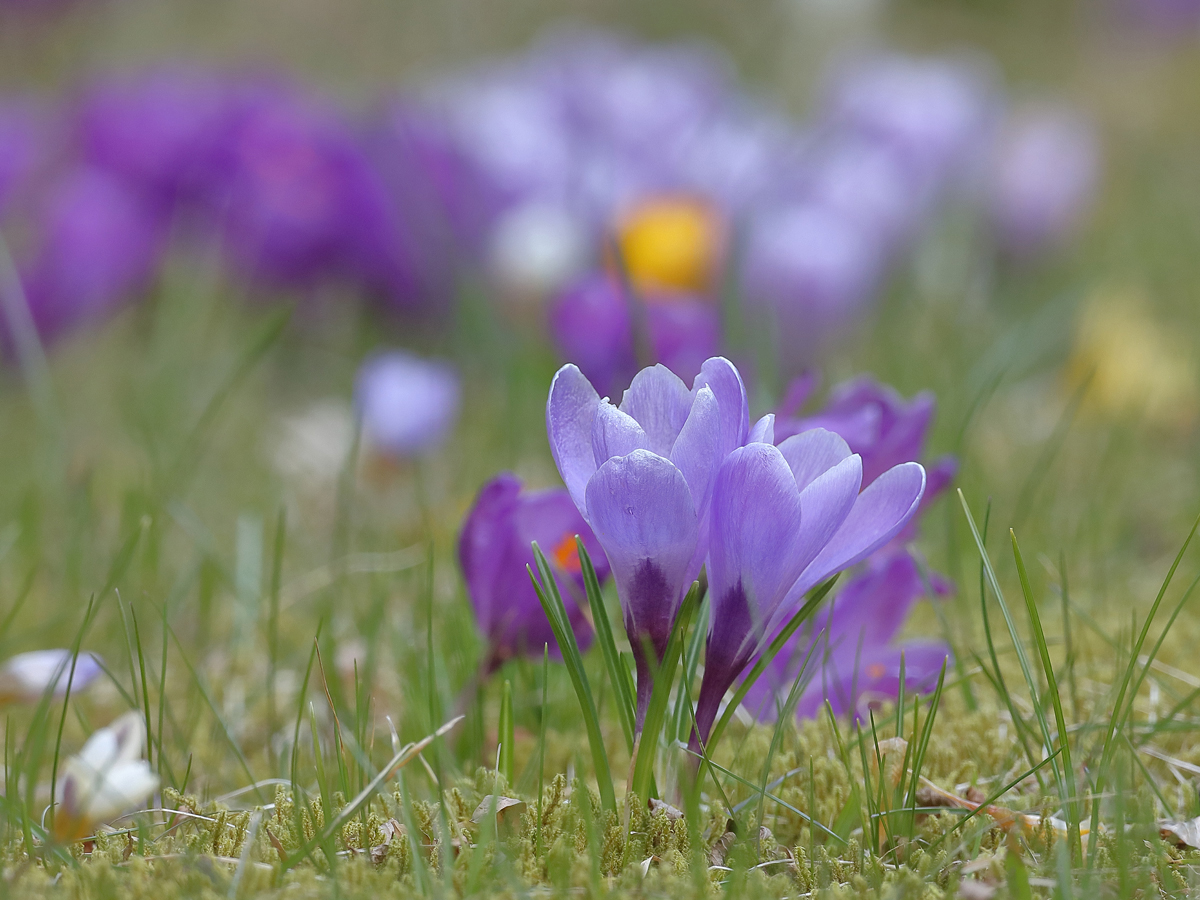 Frohe Ostern...