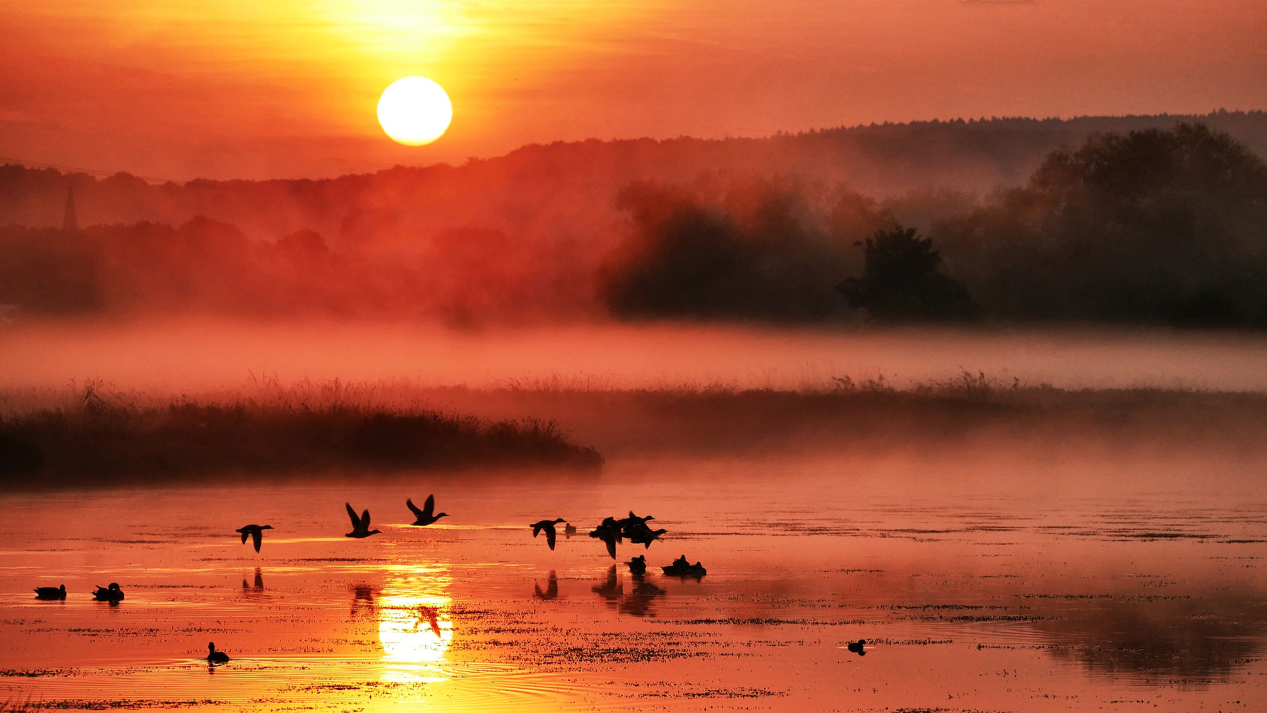 Sonnenaufgang in den Ruhrwiesen
