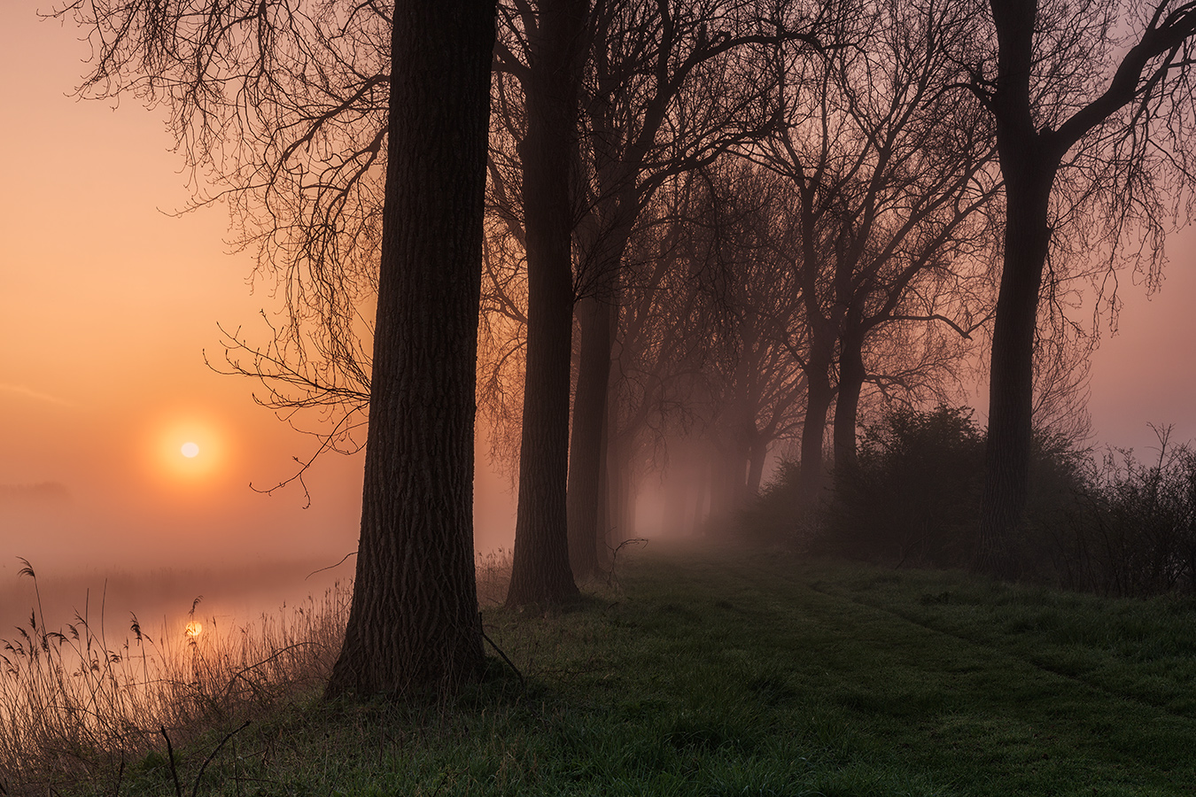 Morgenspaziergang mit Frühnebel