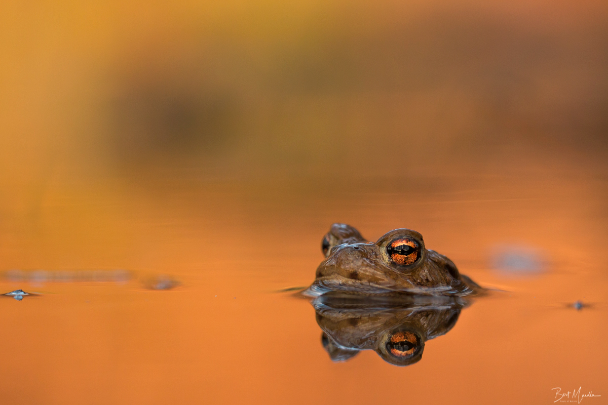 In Wärme baden