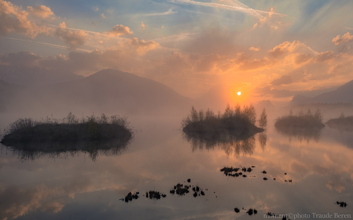 Sonnenaufgang im Moor