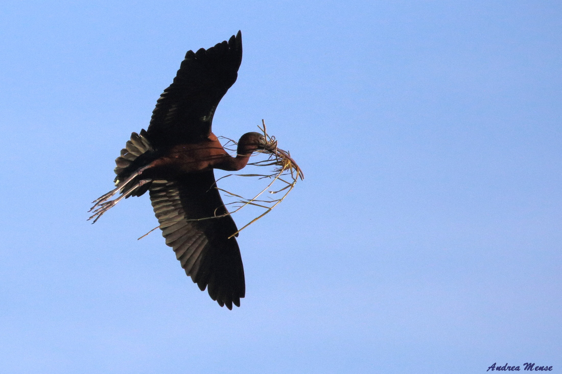 Material-Flug...