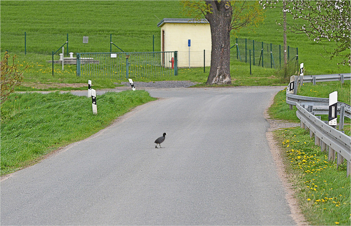 Vorsicht Fußgänger