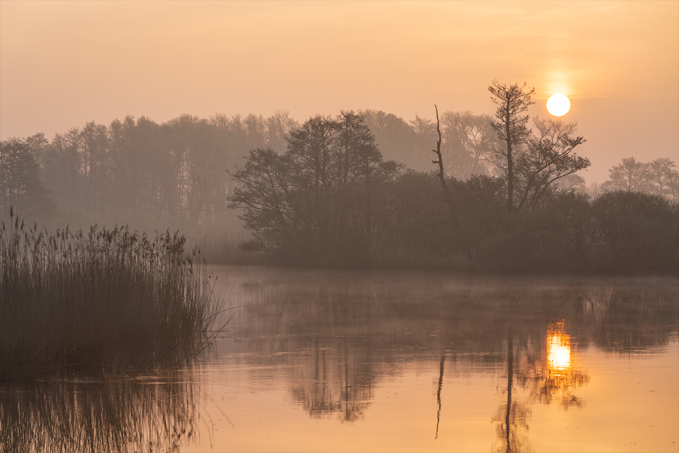 morgens am Fluss