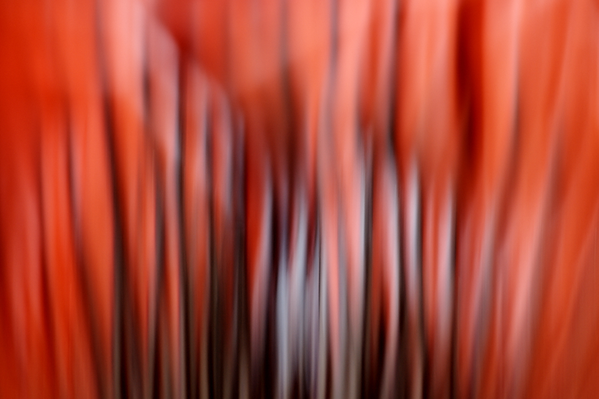 Lichter in schwarz-roter Impression