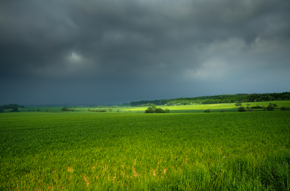 Lichtstimmung