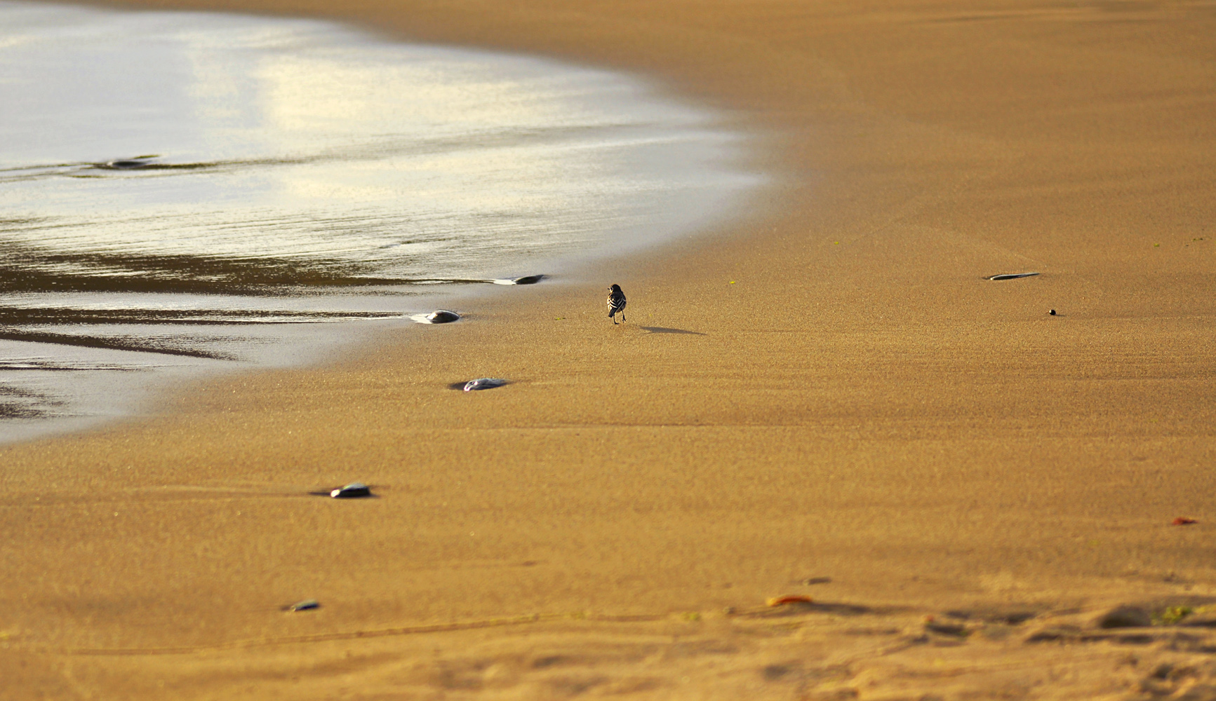 Strandspaziergang