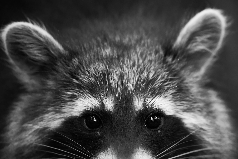 ~ face to face ~